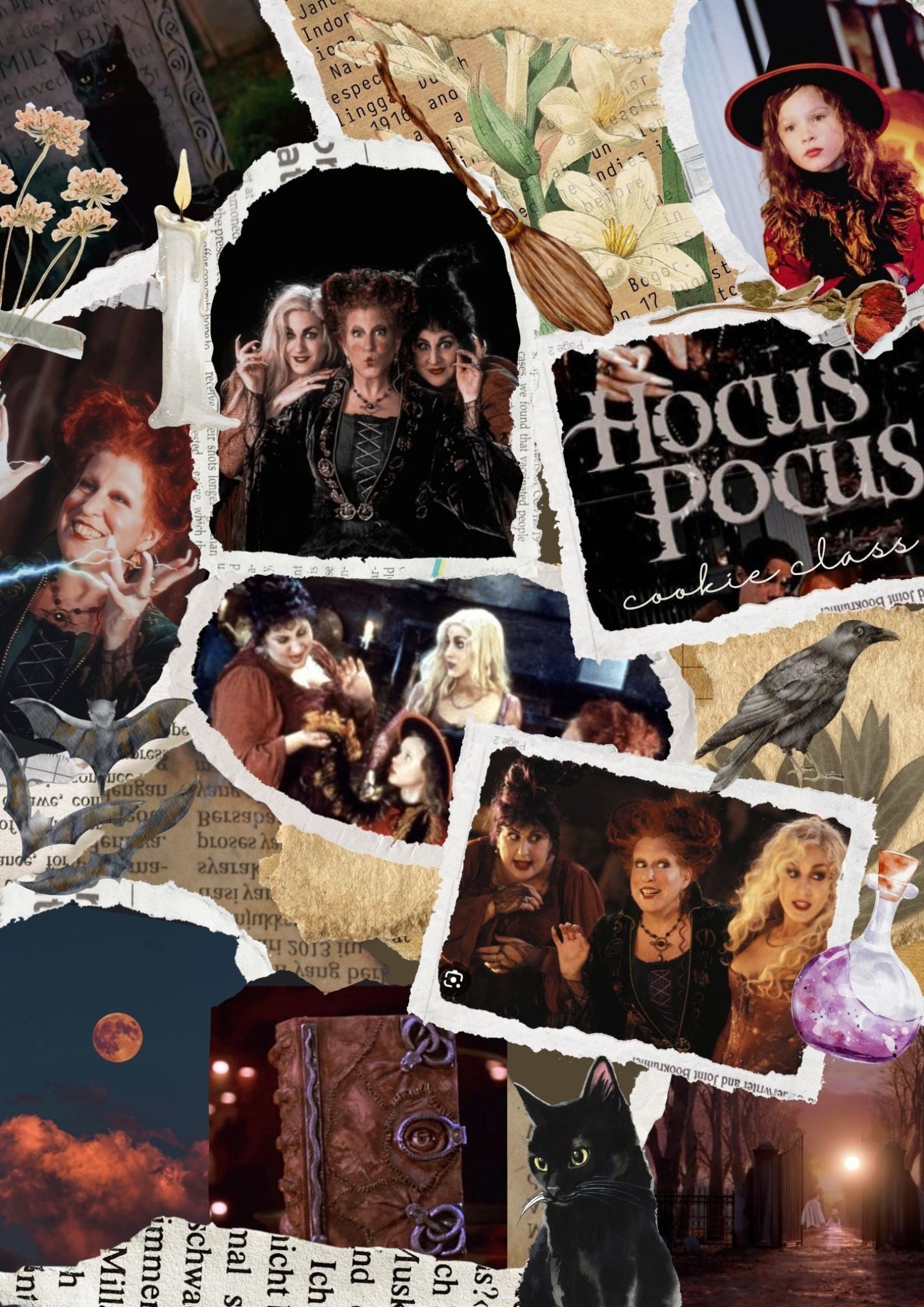 Sugar & Spells Cookie Class // October 26th, 2025